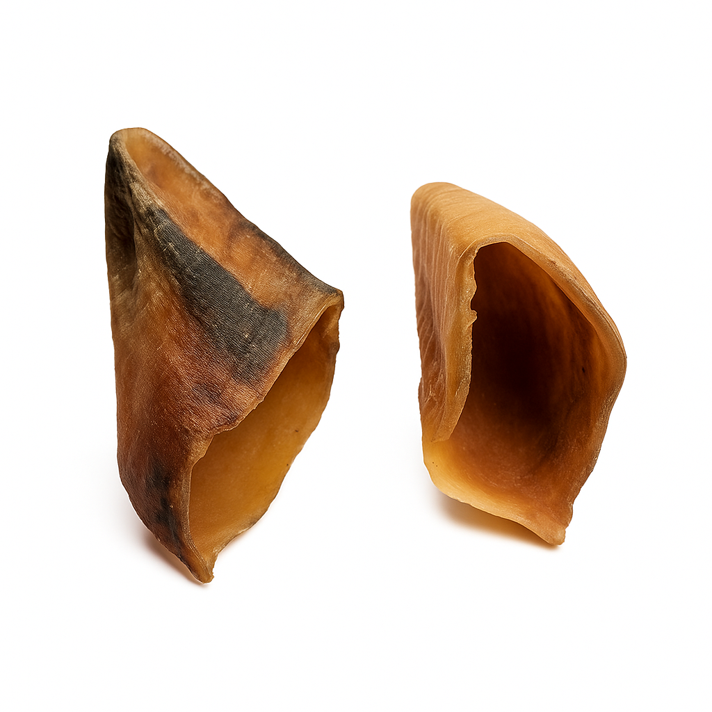 Sabot de bœuf – Friandise naturelle pour chien